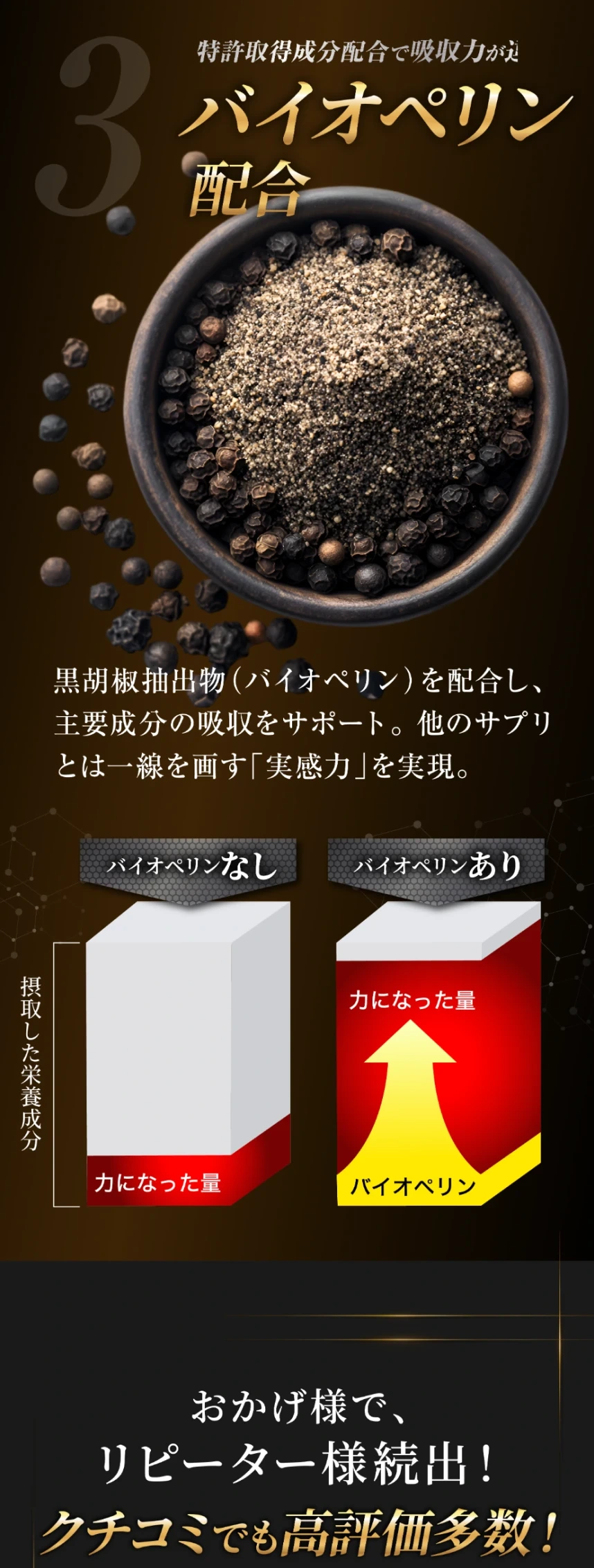 特徴3 バイオペリン配合で吸収力UP 主要成分の吸収をサポート